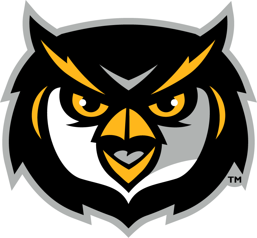 Kennesaw State Owls 2020-Pres Secondary Logo diy iron on heat transfer